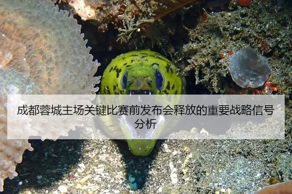cheng-du-rong-cheng-zhu-chang-guan-jian-bi-sai-qian-fa-bu-hui-shi-fang-de-zhong-yao-zhan-lve-xin-hao-fen-xi-2-880.jpg